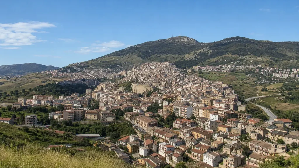 Cammarata